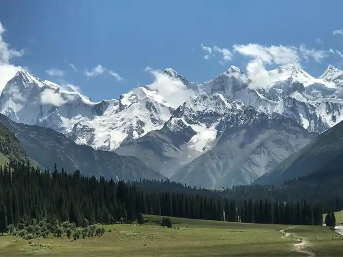 伊犁伊犁雪山,草原,昭苏马