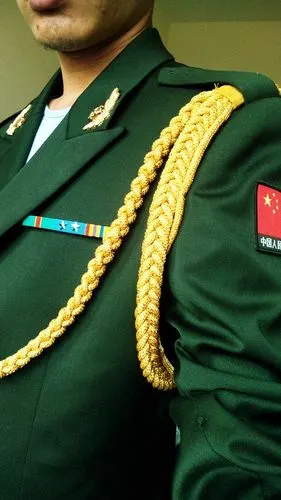 这些资历章说明什么意思?