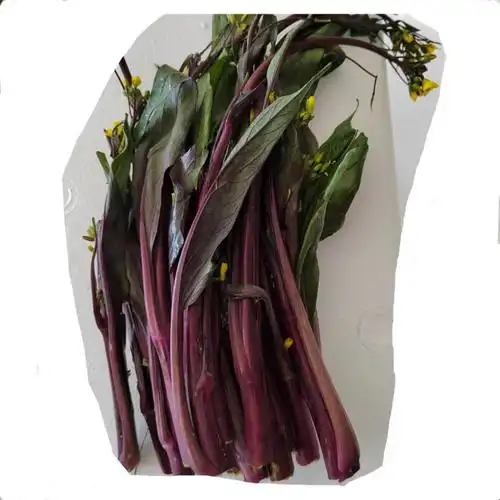 贝娇芬 贵州特产农家自种红菜苔新鲜菜苔红菜心蔬菜心现摘现发 1500g