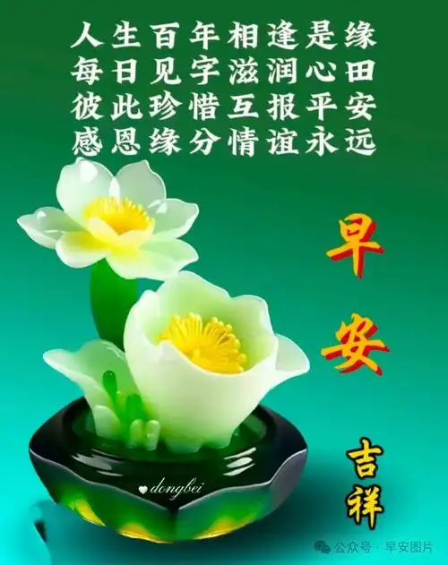 快乐|清晨|朝阳|晨曦|早上好_网易订阅