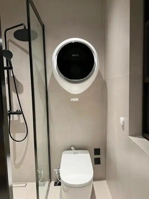 装修日记壁挂洗衣机