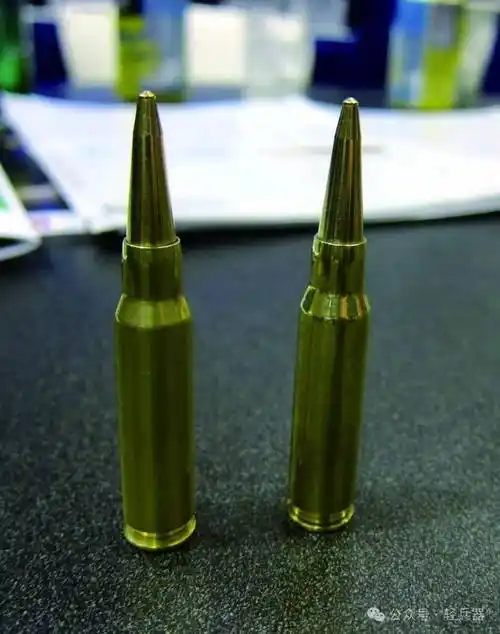 挪威dsg公司多环境弹药系统能在水中表现如何