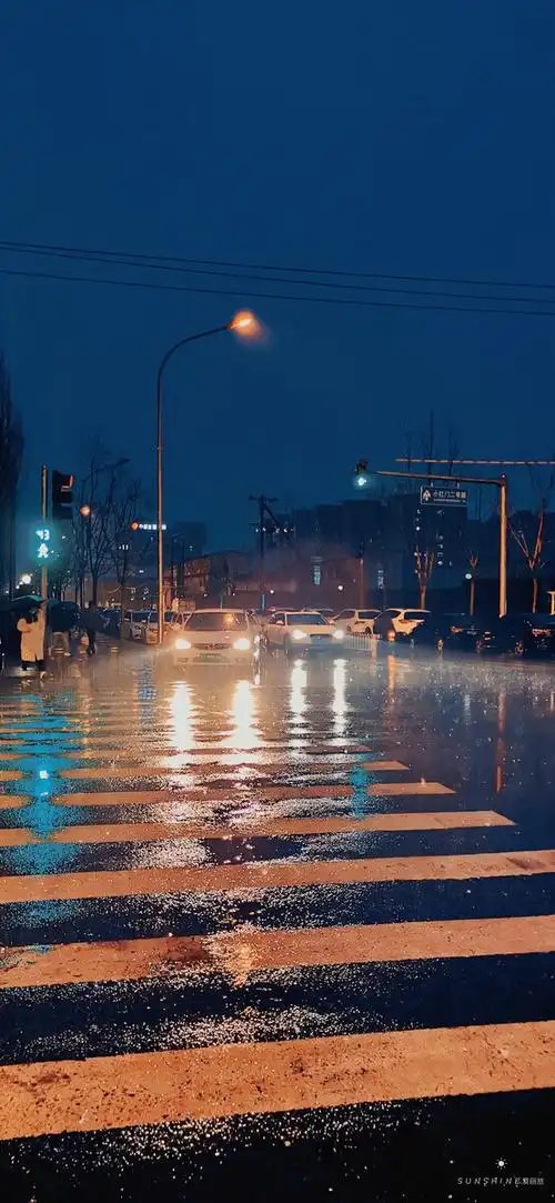 一个下雨的夜晚,别人借了我一把伞.