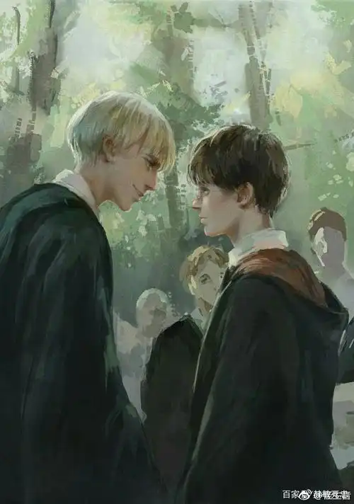 哈利波特:各种cp图集