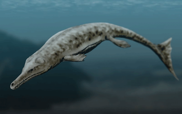 海鳄亚目中的地蜥鳄(neptunidraco)高度特化