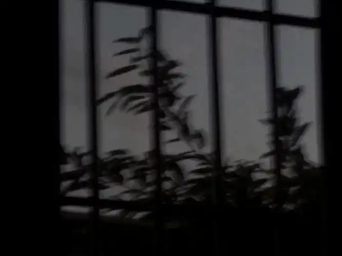 某一个夜晚偶然发现的窗外之景