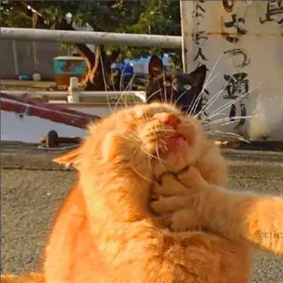 2人基友头像沙雕智障图片_基友男生头像_头像屋