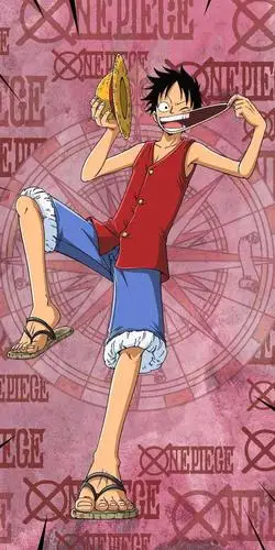 海贼王高清人物壁纸!