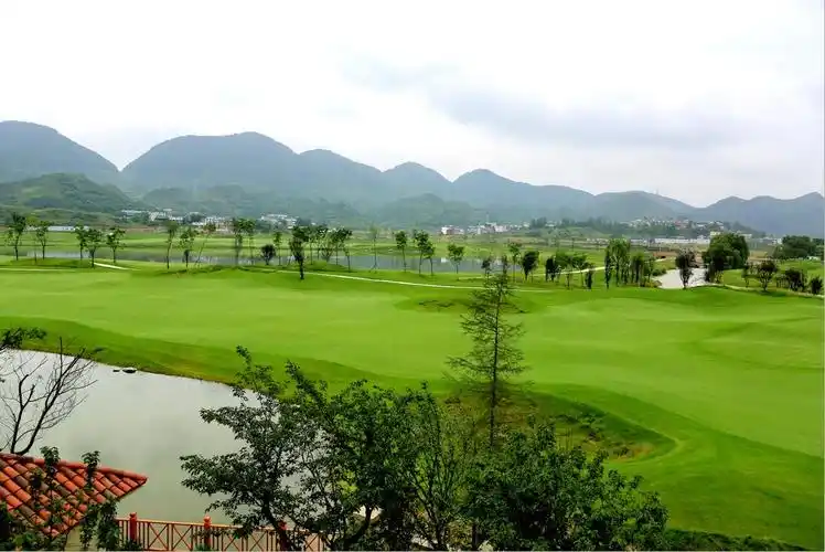 造 品质产品 乐湾成就经典生活