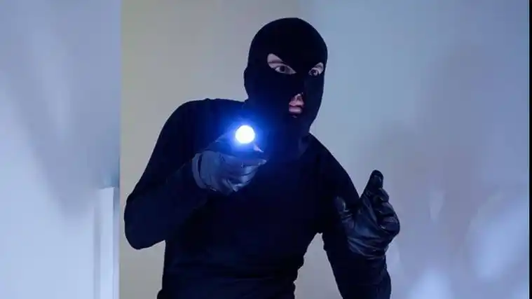 梦见小偷是什么意思