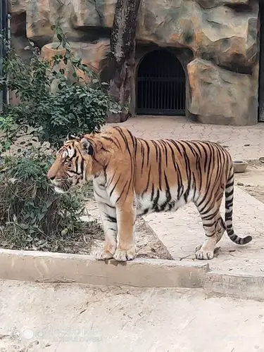 西双版纳热带动物园(第三集)