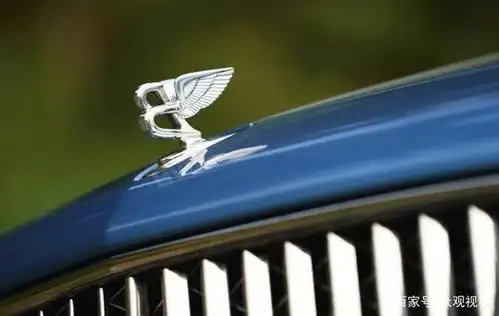 劳斯莱斯的飞天女神标相信大家都认识,一个车标价值超过了20万,该