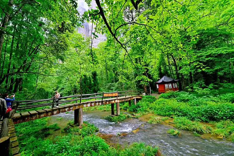 张家界金鞭溪是天然形成的一条美丽的溪流沿线是武陵源风景最美的地界