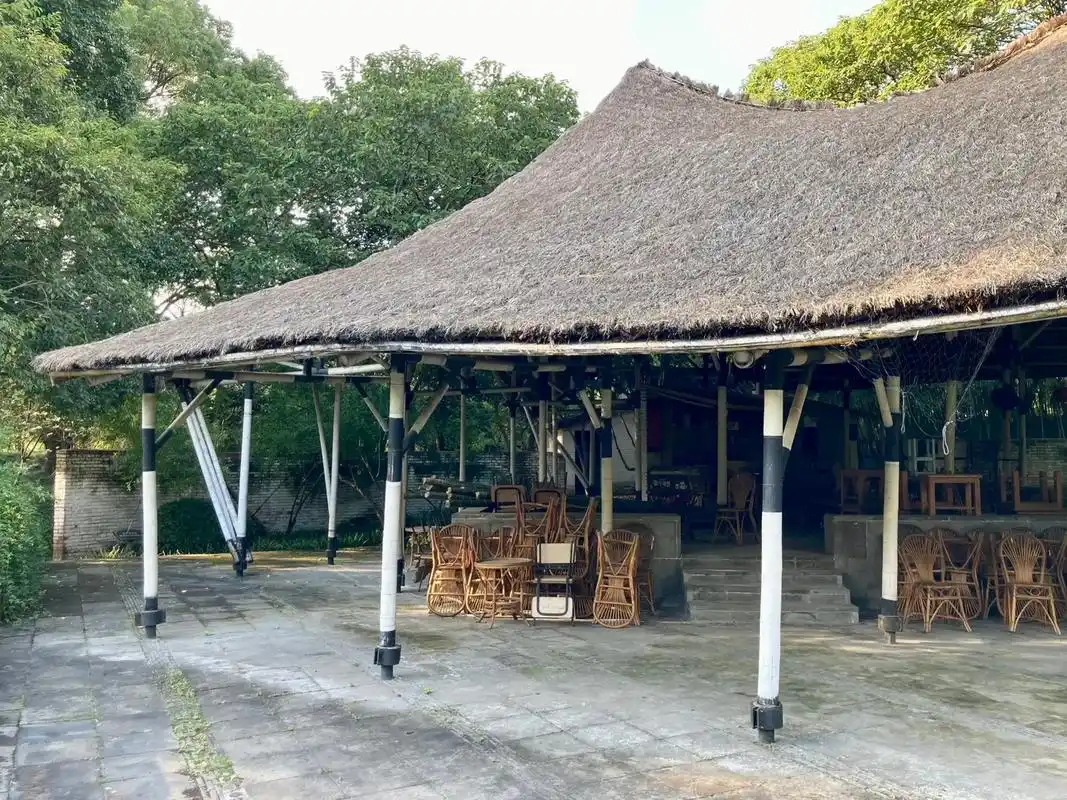 王澍断定这个茅草屋是中国最好的现代建筑.