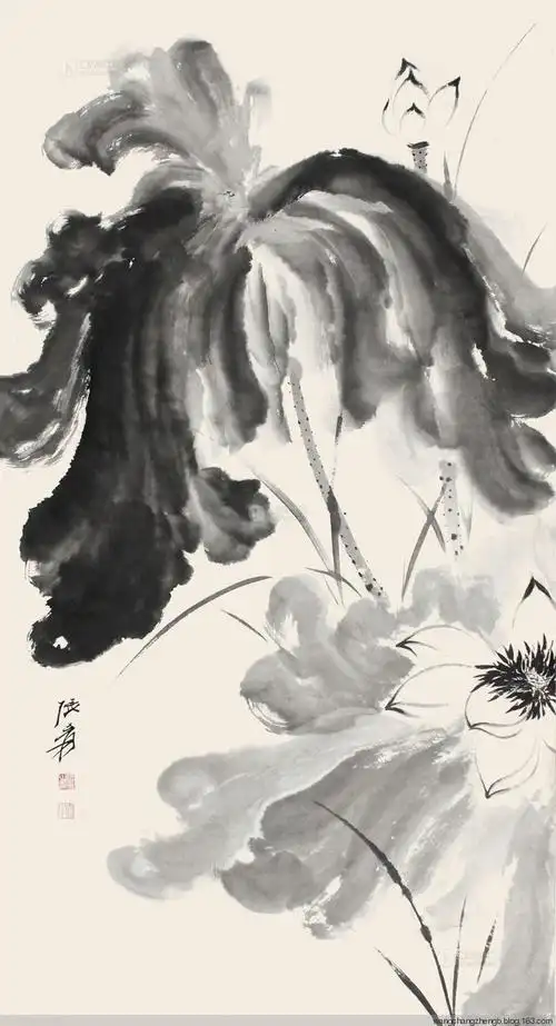 书画中国张大千荷花