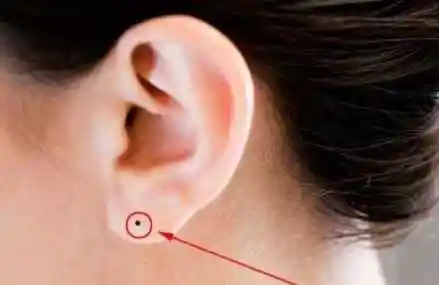 面相(耳垂外翻人的男命运),耳垂外翻 面相