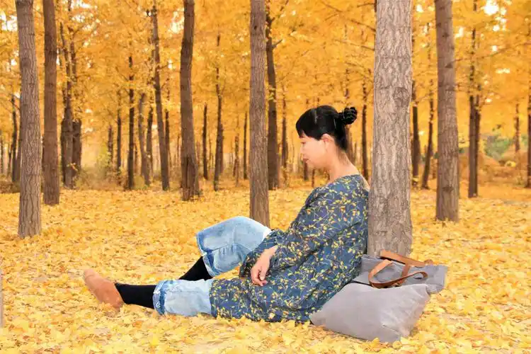 银杏树下〔原创