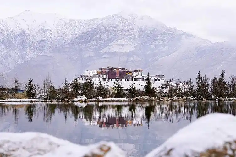 wayne的旅行日记 的微博: #拉萨# 拉萨下雪啦雪后的布达拉宫