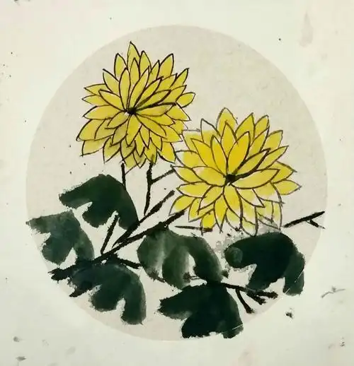 三(3)班    刘烯君    菊花