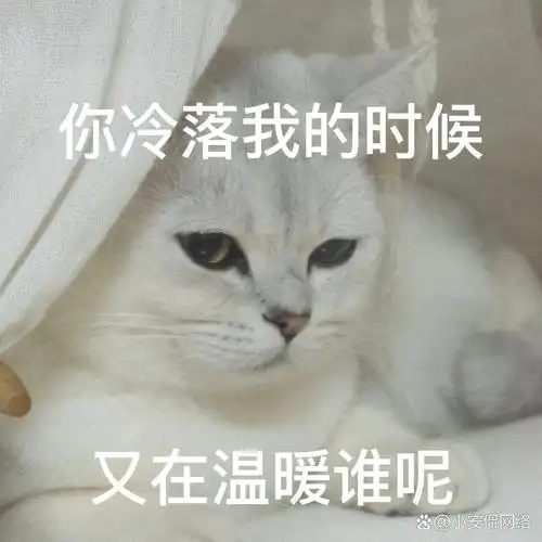 表情包丨你冷落我的时候 又在温暖谁呢
