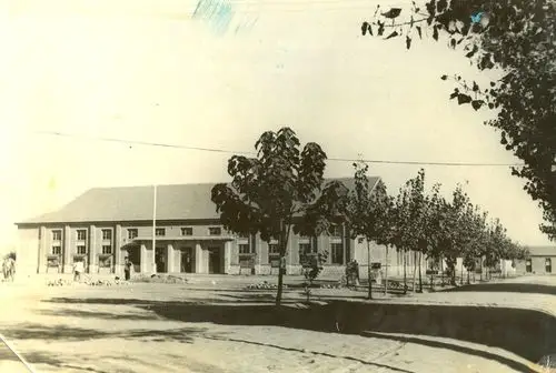 岁月的痕迹--五十年代老照片