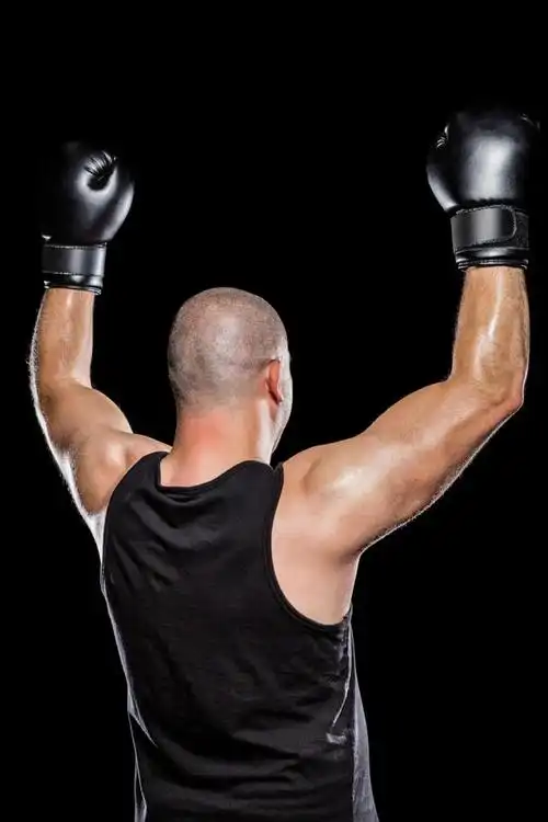 中国拳击手前十名