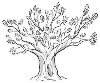 槐树树枝 strong>简笔画 /strong>图片