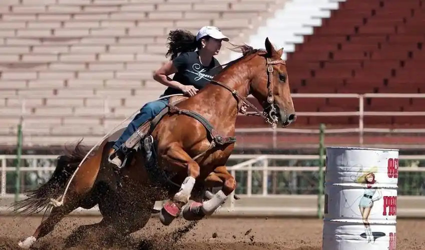 美女骑马照,你最喜欢第几个?