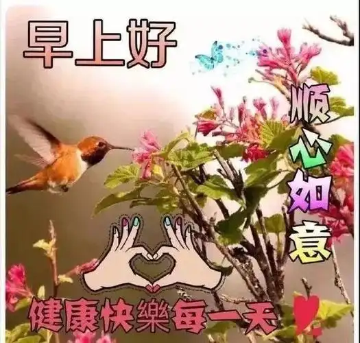 原创最新早上好鲜花唯美动态祝福图片 新版微信早安问候语精选