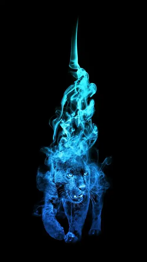 【黑色系 壁纸】(全172张)