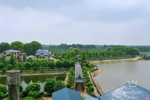 在美丽神奇的赤山岛上,飞来了一群快乐的"老麻雀"