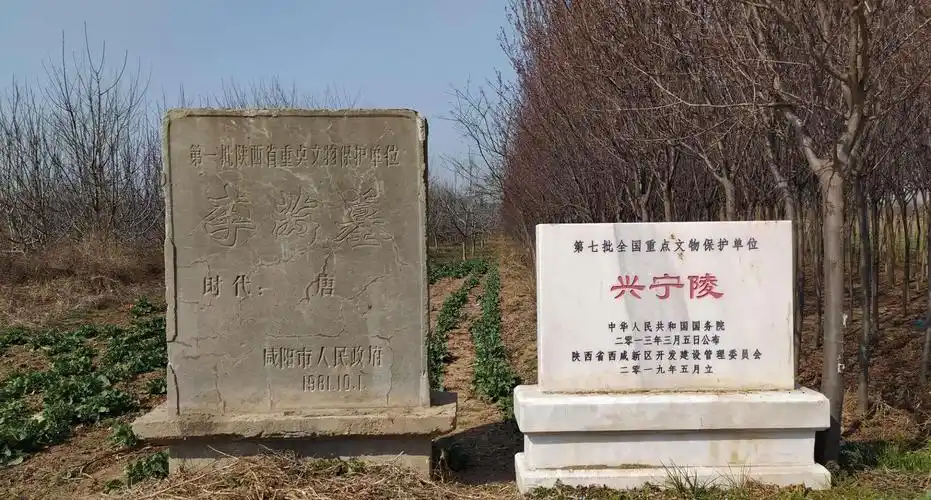 咸阳农田里发现的文物,有1000多年的历史,陵墓主人身份不一般