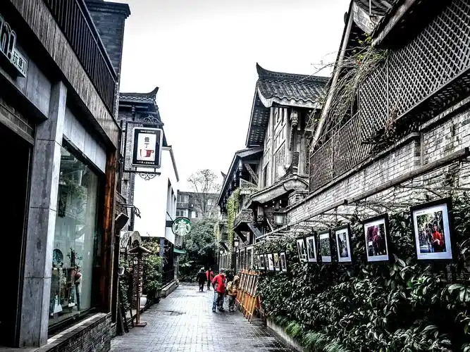 其它 独游成都宽窄巷 写美篇拳打四川宽巷子, 脚踢成都窄巷子.