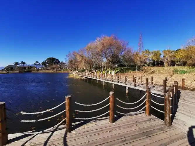 抚仙湖月亮湾湿地公园