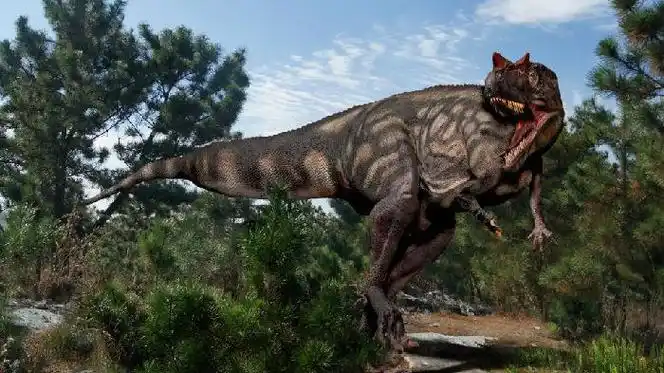 角鼻龙(ceratosaurus)