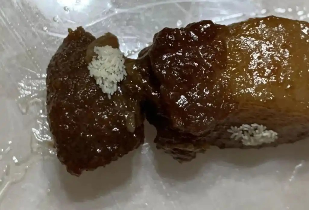 永康一市民就餐打包食物竟然在内发现苍蝇卵