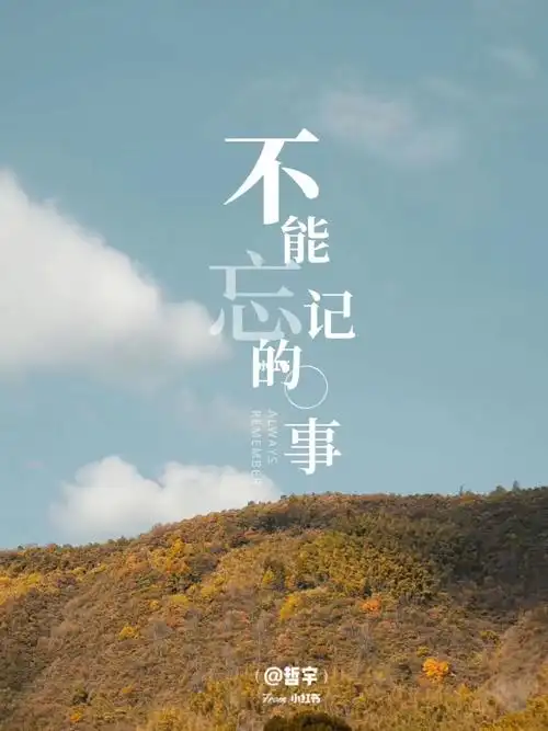 不能忘记的事