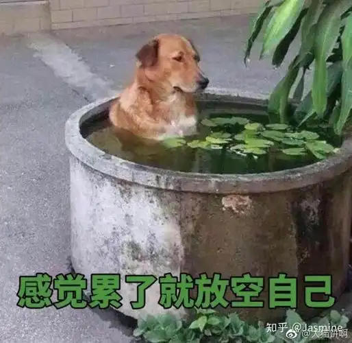 感觉累了就防空自己 - 搞笑图片 - 挖吧