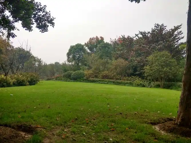 云龙公园_贴图自拍_miui论坛