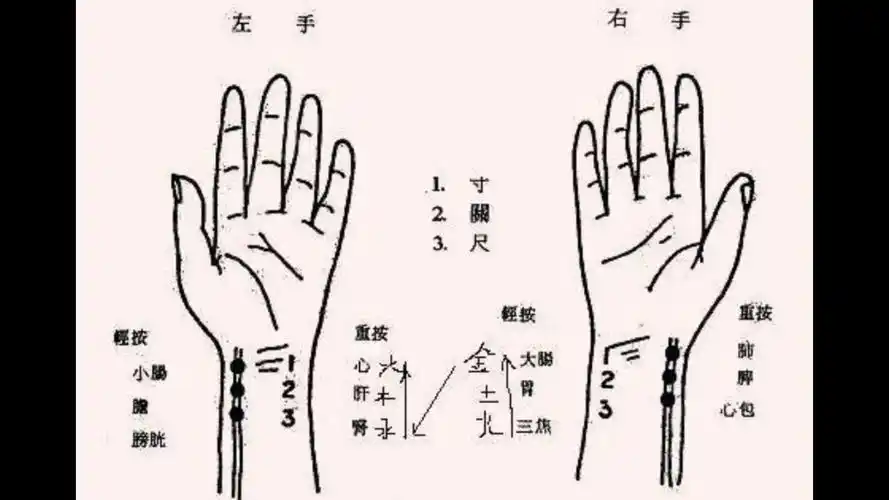 中医入门～诊脉