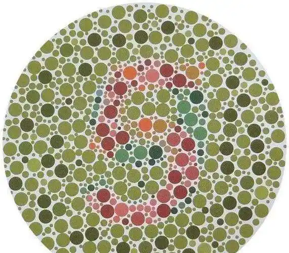 考驾照最新色盲图_c1驾照色弱必背图