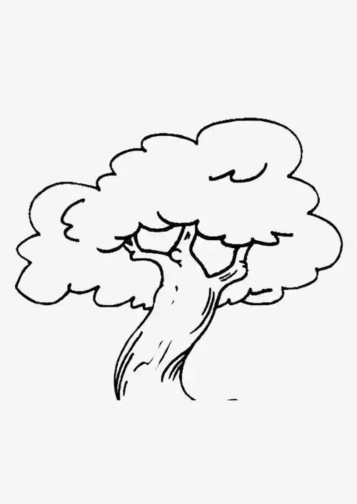 关键词 : 一棵,大树,叶子,树木,素描,简笔,黑色的,线条