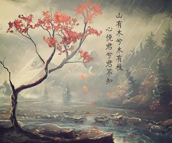 山有木兮木有枝心悦君兮君不知