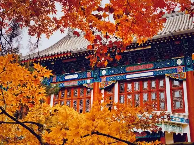 中国最美的六所大学