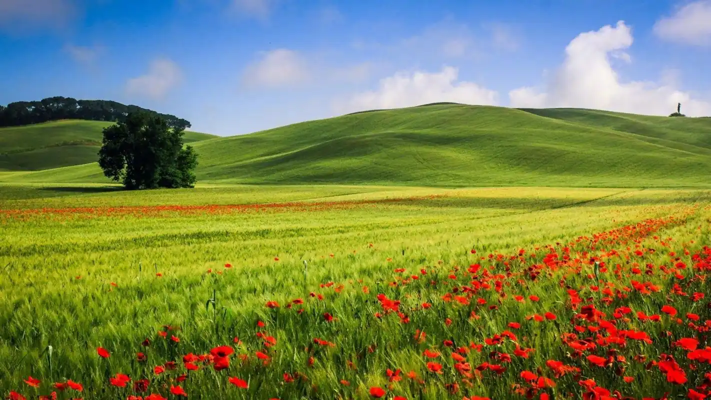 美丽的大自然风景图片高清桌面壁纸
