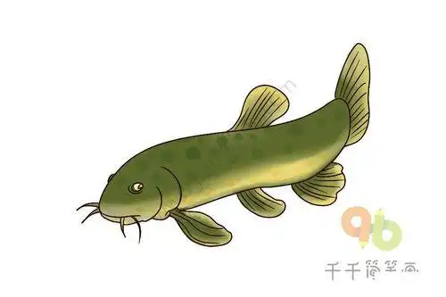 泥鳅和女孩的简笔画