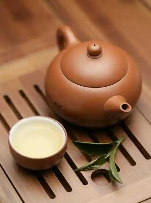 青未了|散文《问道茶茗》