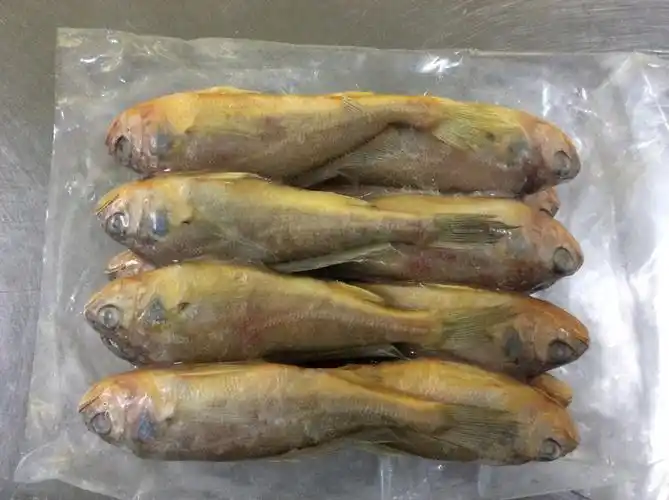 正宗舟山特产舟山小黄鱼10-12条 斤厂家一手货源品质有保.
