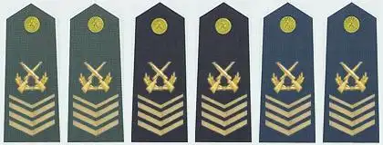 解放军一级军士长究竟是啥职务?真像传言那样比将军还少吗?