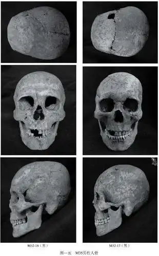考古大汶口文化北阡遗址头骨复原
